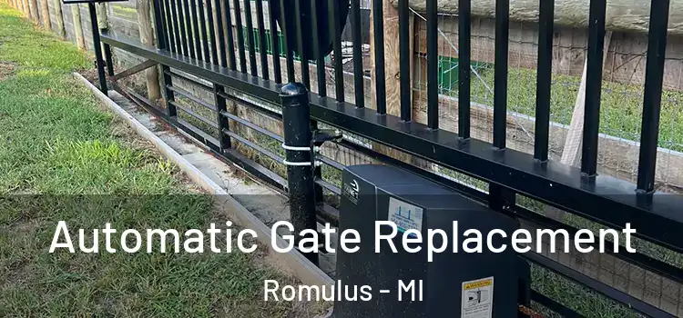  Automatic Gate Replacement Romulus - MI