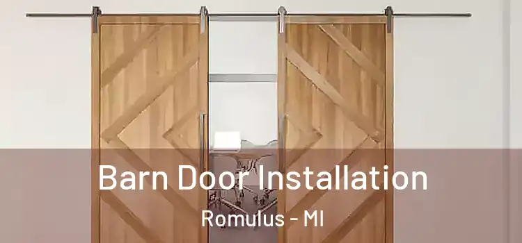  Barn Door Installation Romulus - MI