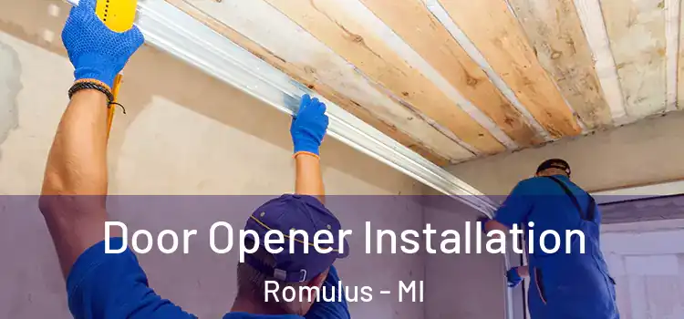 Door Opener Installation Romulus - MI