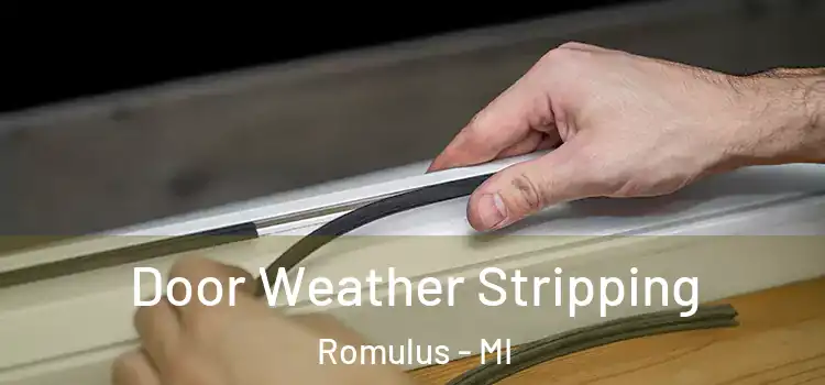  Door Weather Stripping Romulus - MI