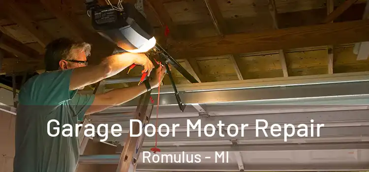  Garage Door Motor Repair Romulus - MI