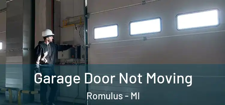  Garage Door Not Moving Romulus - MI