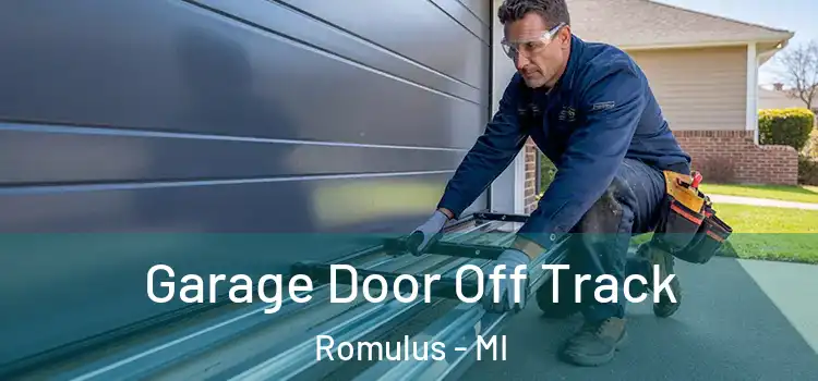  Garage Door Off Track Romulus - MI