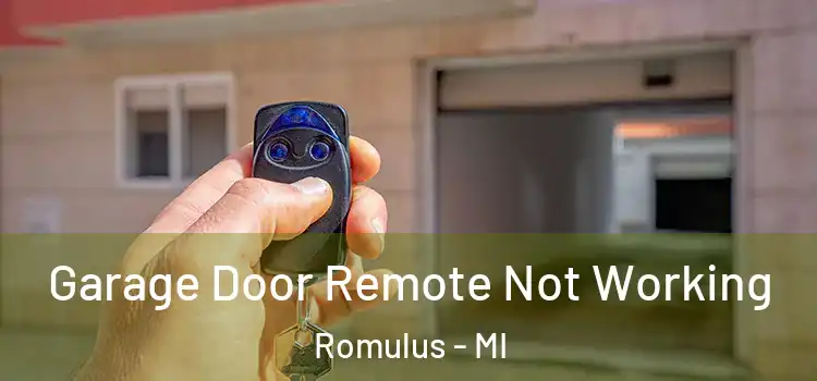  Garage Door Remote Not Working Romulus - MI