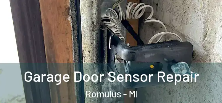 Garage Door Sensor Repair Romulus - MI