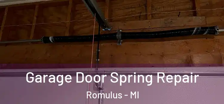  Garage Door Spring Repair Romulus - MI