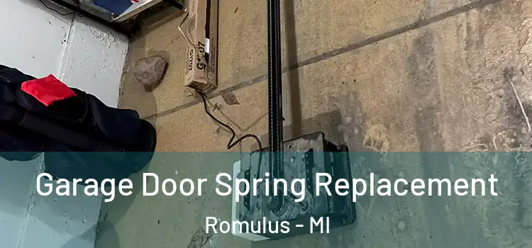  Garage Door Spring Replacement Romulus - MI