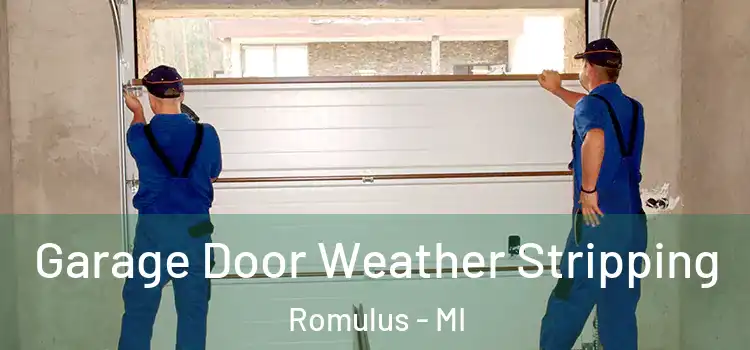  Garage Door Weather Stripping Romulus - MI