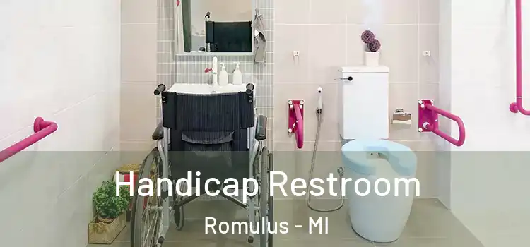  Handicap Restroom Romulus - MI