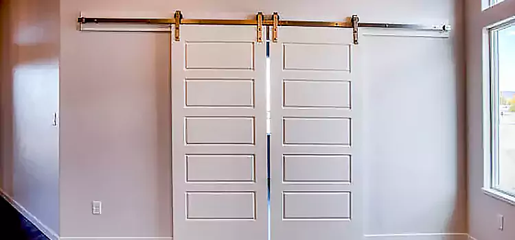 Glass Barn Door with Installation Hardware Kit Romulus