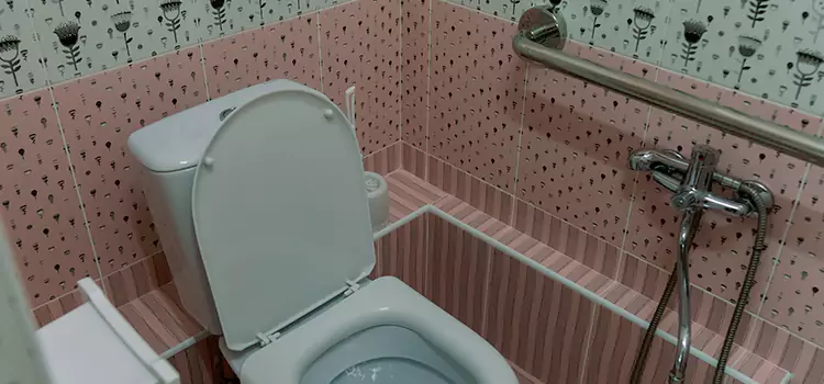Meeting Diverse Needs With Accessible Restroom Solutions in Romulus, MI