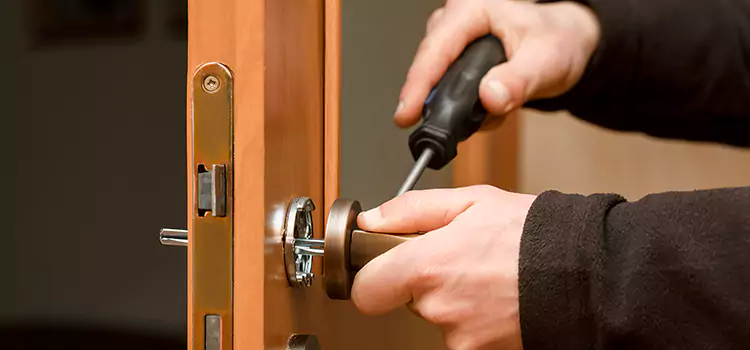 Rekey Car Locks Romulus