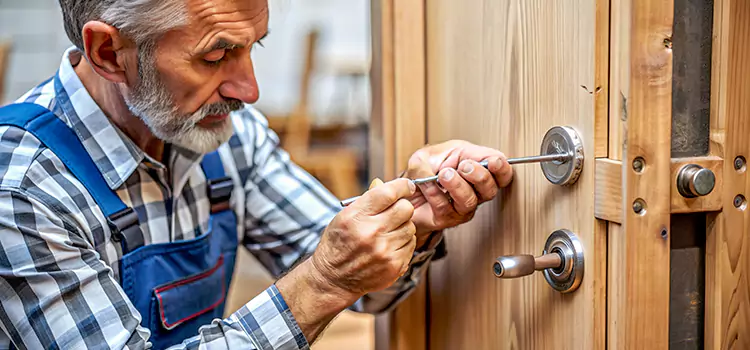 Mortise Replacement Lock Romulus