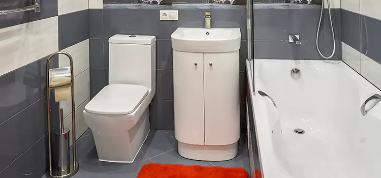 Hansgrohe Shaving Mirror Romulus