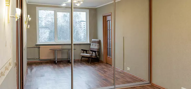 Mirror Closet Door Roller Replacement Romulus