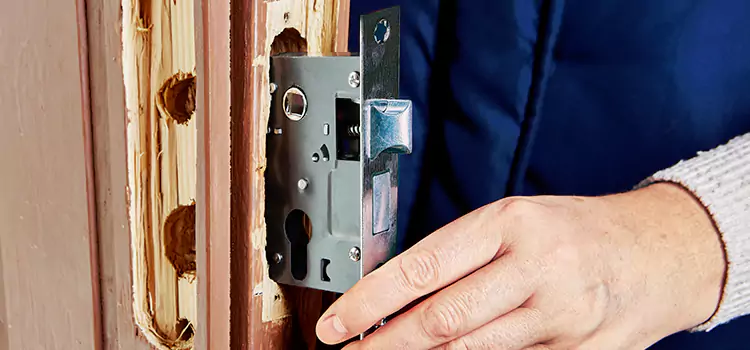 Garage Door Lock Replacement Romulus