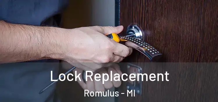  Lock Replacement Romulus - MI