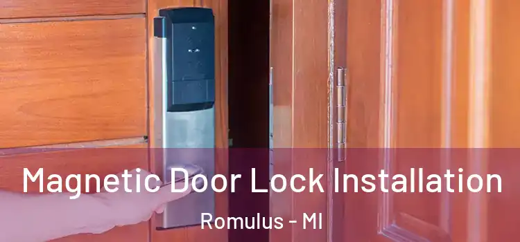  Magnetic Door Lock Installation Romulus - MI