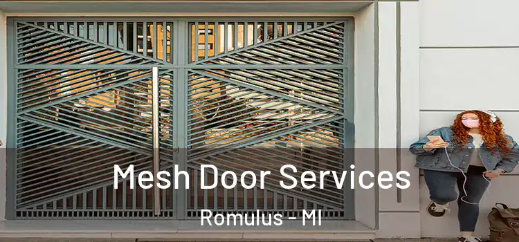  Mesh Door Services Romulus - MI