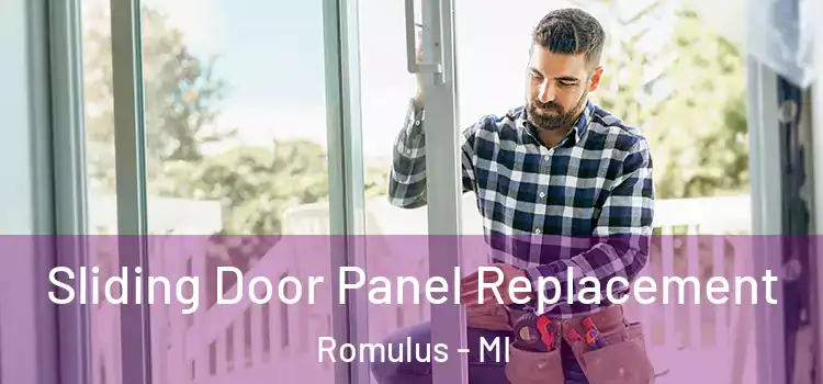  Sliding Door Panel Replacement Romulus - MI