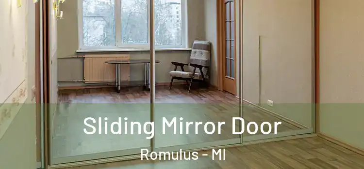  Sliding Mirror Door Romulus - MI