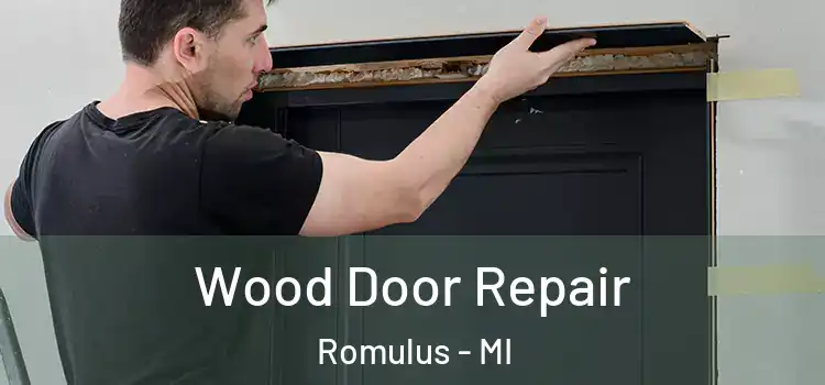  Wood Door Repair Romulus - MI